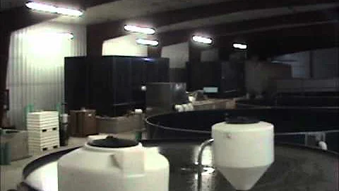 Fish Pump-TRANSVAC - Live Transfer of Coho Salmon-...