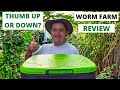Maze Worm Farm Review Thumbs up YES OR NO?