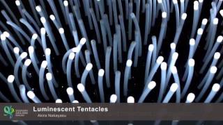 SIGGRAPH Asia 2016 – Art Gallery Trailer
