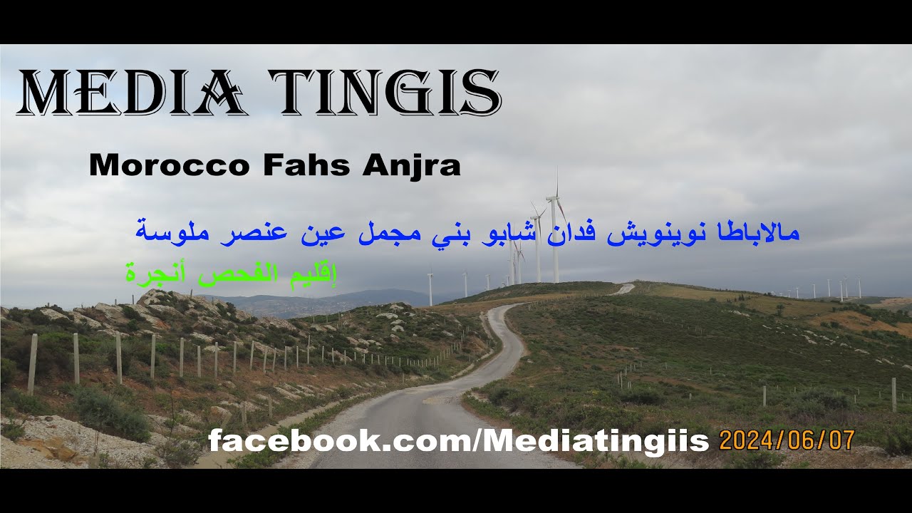 مالاباطا نوينويش فدان شابو بني مجمل عين عنصر ملوسة إقليم الفحص أنجرة 07 06 2024 Morocco Fahs Anjra