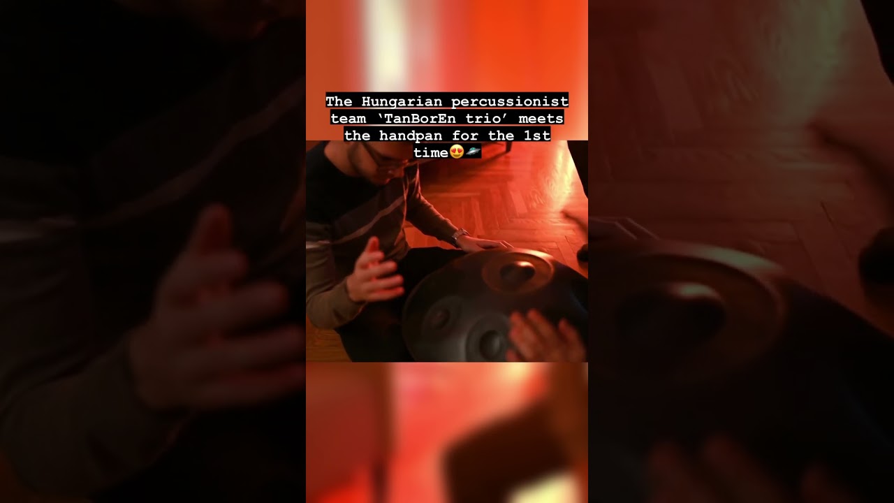 can you guess the song? I TanBorEn Trio #handpan #handpanmusic #handpans #maginstruments