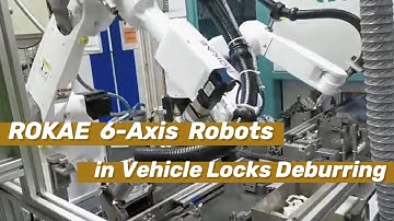 Case Study: Plasma Deburring for Vehicle Locks with ROKAE 6-Axis Robots #robot #industrial