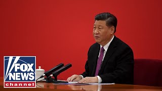 Chinese protests 'precarious' for Xi Jinping: Dmitri Alperovitch