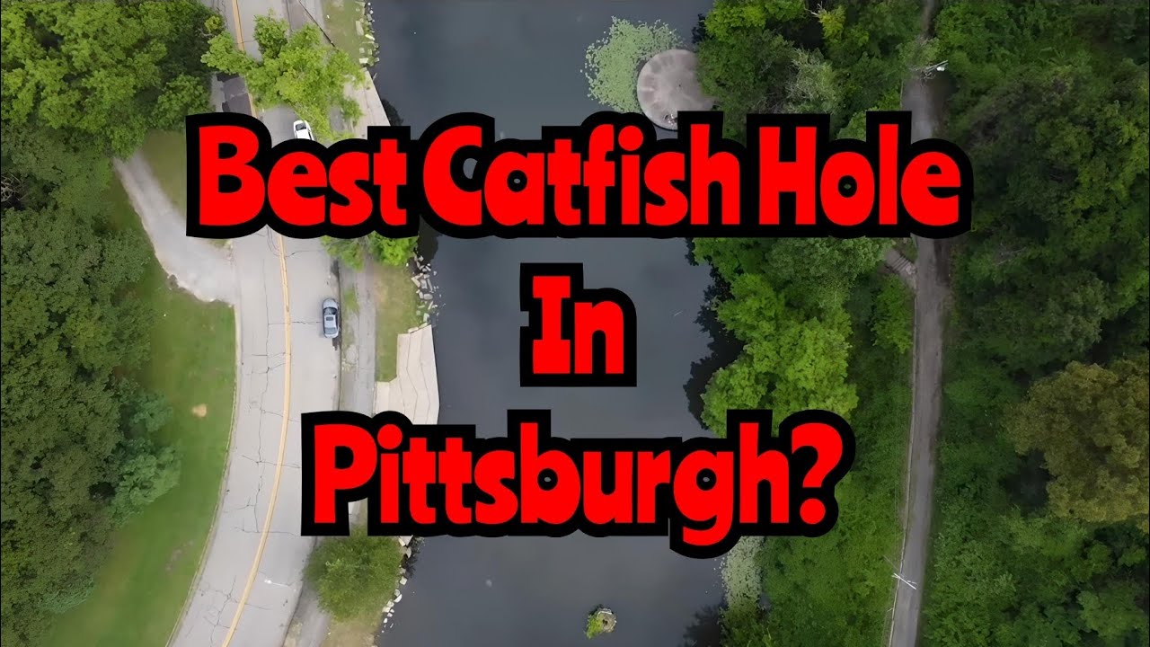 Fan Suggestion and Catfishing at Carnegie Lake