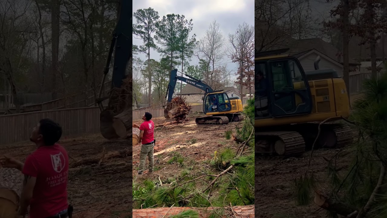 Excavator Removing Tree Rootball 