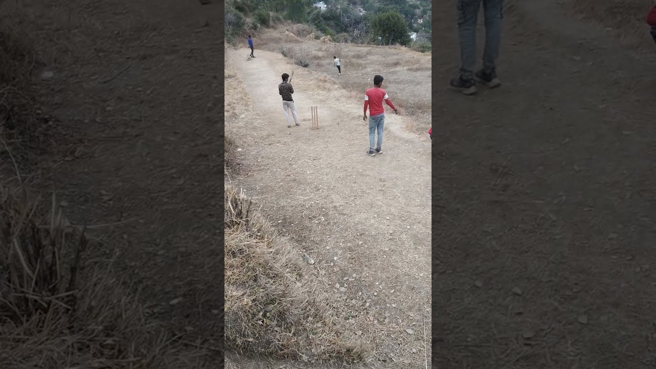 खेलता बचपन! गांव के सीढ़ीदार खेतों में गांव के बच्चे,जो हम-सभी का प्रिय खेल क्रिकेट खेल रहे हैं! 👌🌲🌹