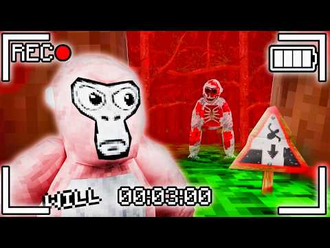 Do not join this gorilla tag code at 3am...