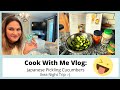 Cook With Me Vlog: Japanese/Hawaiian Pickling Cucumbers and Ikea Trip