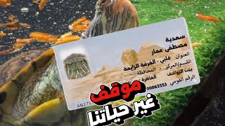 سعدية مصطفى 😁