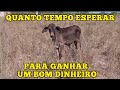 QUANTO TEMPO ESPERAR PARA GANHAR UM BOM DINHEIRO?