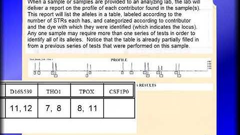 explanation of a profile electropherogram