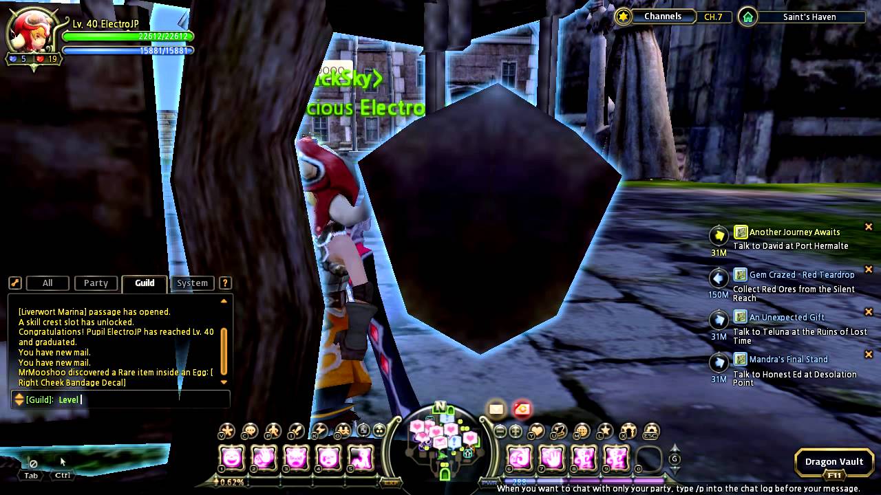 Dragon Nest - Finally Level 40!