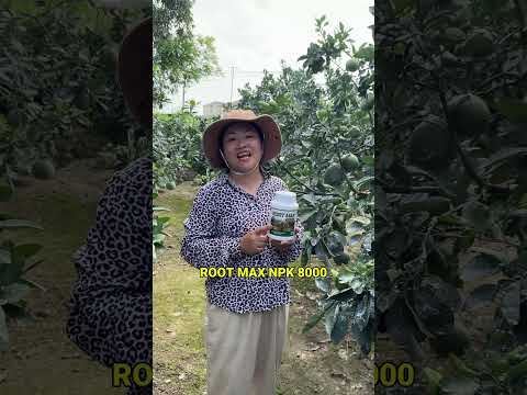 Phản hồi thực tế