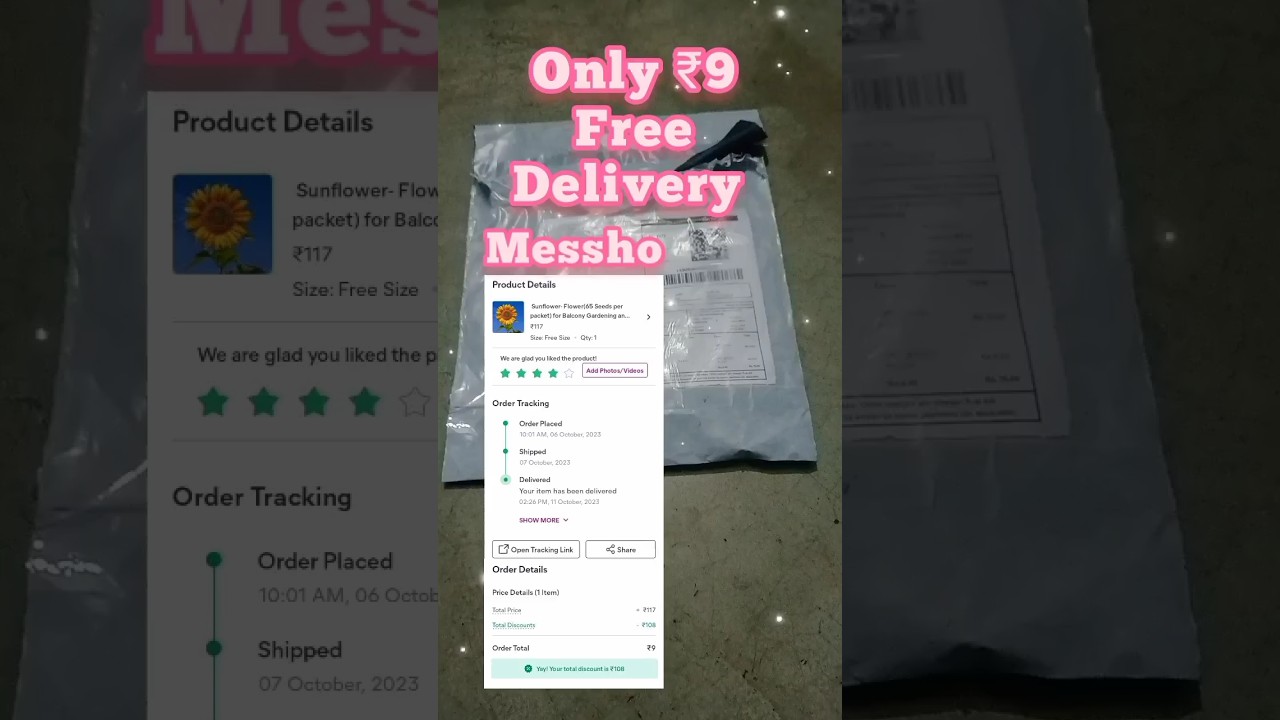 Sunflower- Flower(65 Seeds per packet) for Balcony Gardening and cocopeat free Messho 