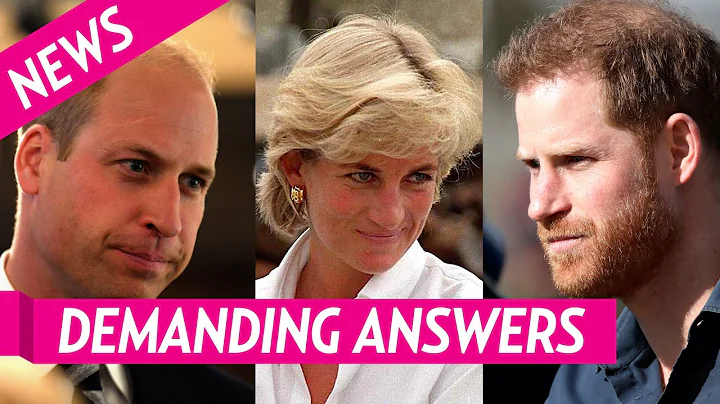 Princes William and Harry Are Demanding Answers About Dianas 1995 Panorama Interview