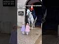 😭 You’ll Melt Watching This Baby Salute the Royal Guard!#Baby #CuteMoments #royalguard