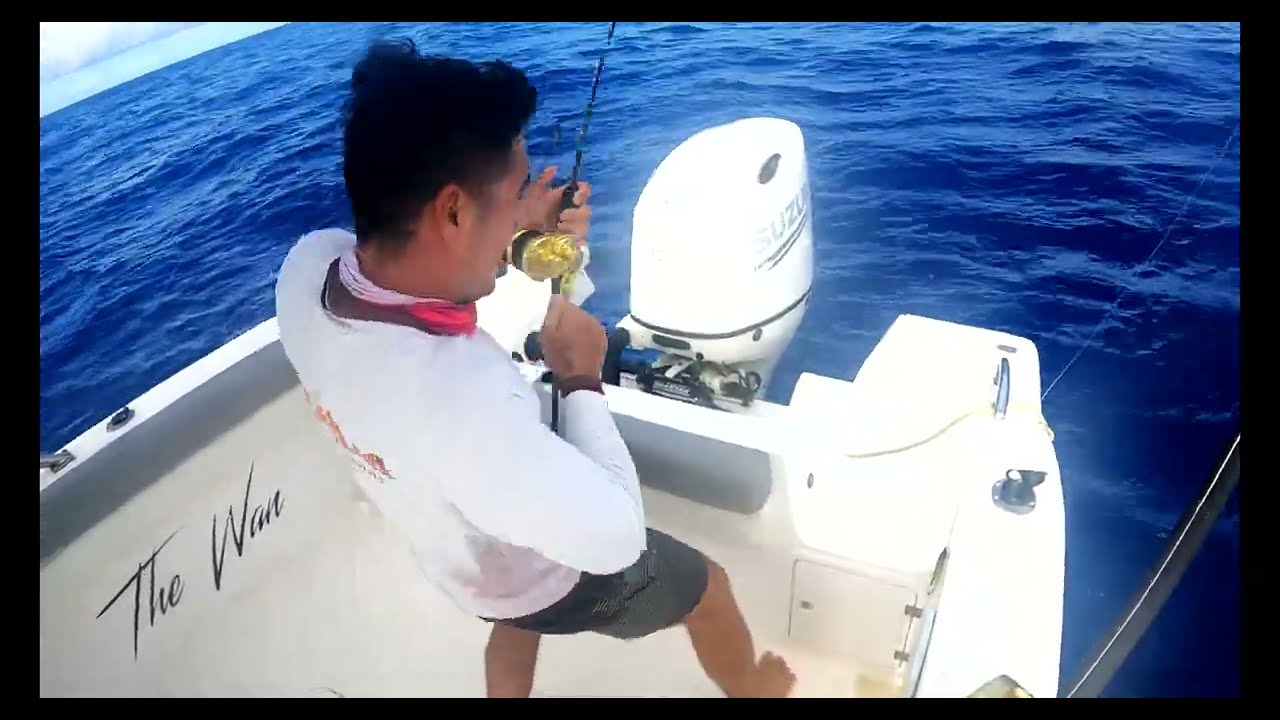 Big Amberjack got taxed - Head weight 6.40lbs