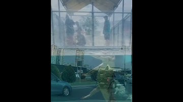 Drive me crazy my positive auto blog - no turn light #follow signs for common safety #shorts