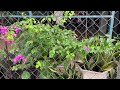 Heavy Rain & Thunderstorm Sounds - Perfect for Sleep, Relax, Meditation.