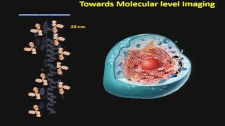 2015 Summer Symposium: Nolan