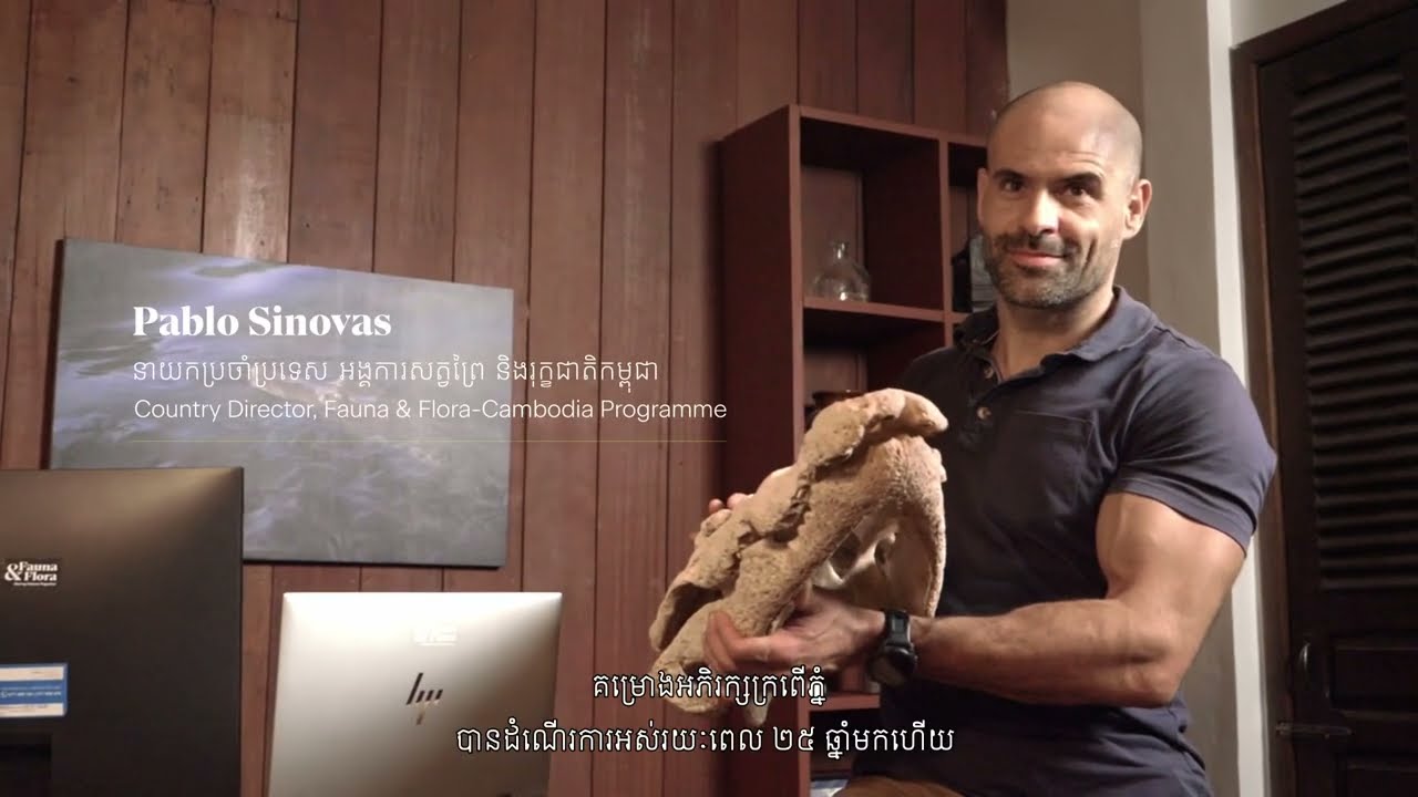 25 years of Siamese crocodile conservation