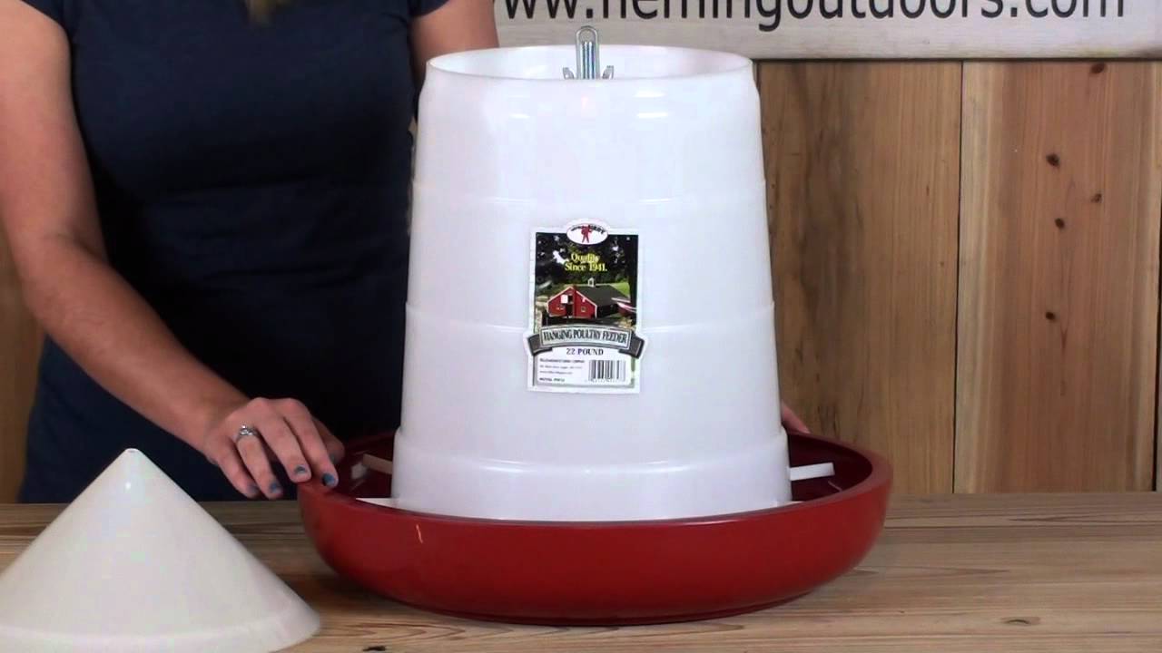Little Giant Plastic Hanging Chicken Feeder YouTube