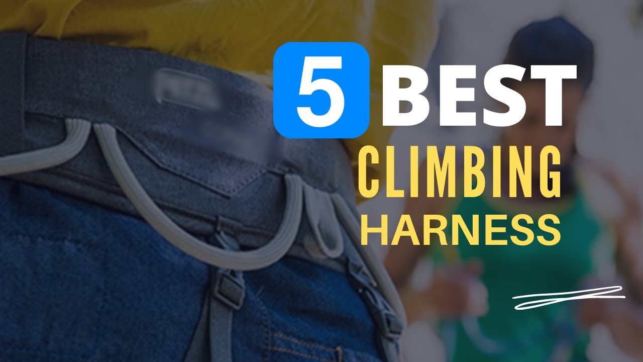 ⭕ Top 5 Best Climbing Harness 2022 [Review and Guide] YouTube