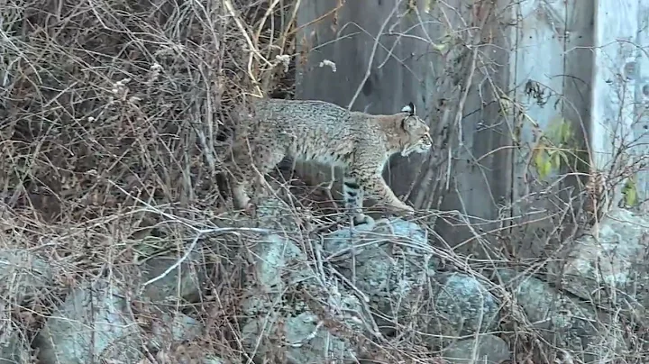 PXL 20251128 122300943