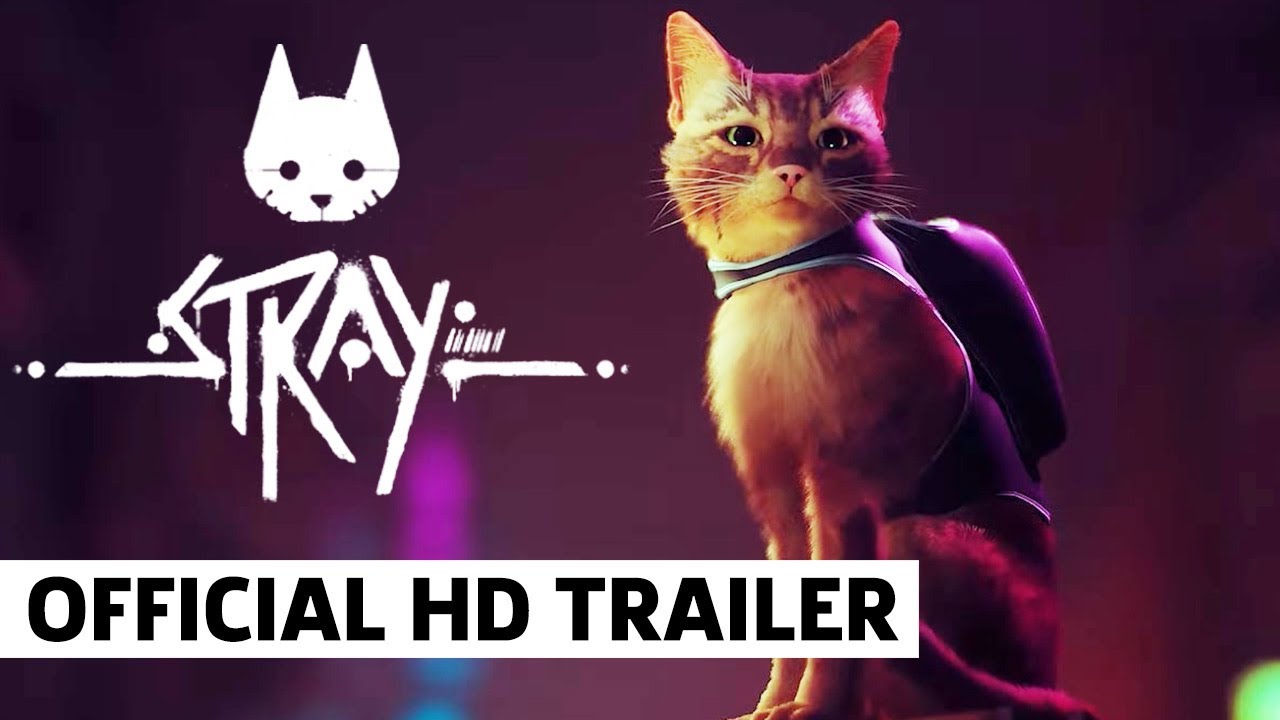 STRAY - O Novo JOGO Do GATO, Gameplay Walkthrough