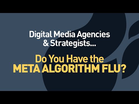 Do You Have the Meta Algorithm Flu? - video from Wicked Reports
