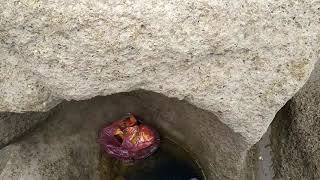 Каменистый Берег Каспия