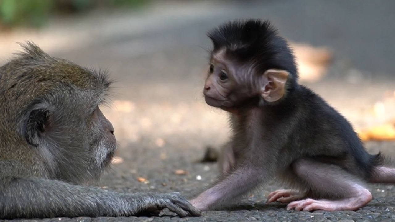 Новорожденные могут ползать