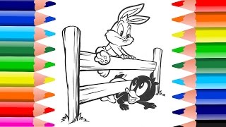 Looney Toons Coloring Pages | Coloring For Kids | Coloring Book Video