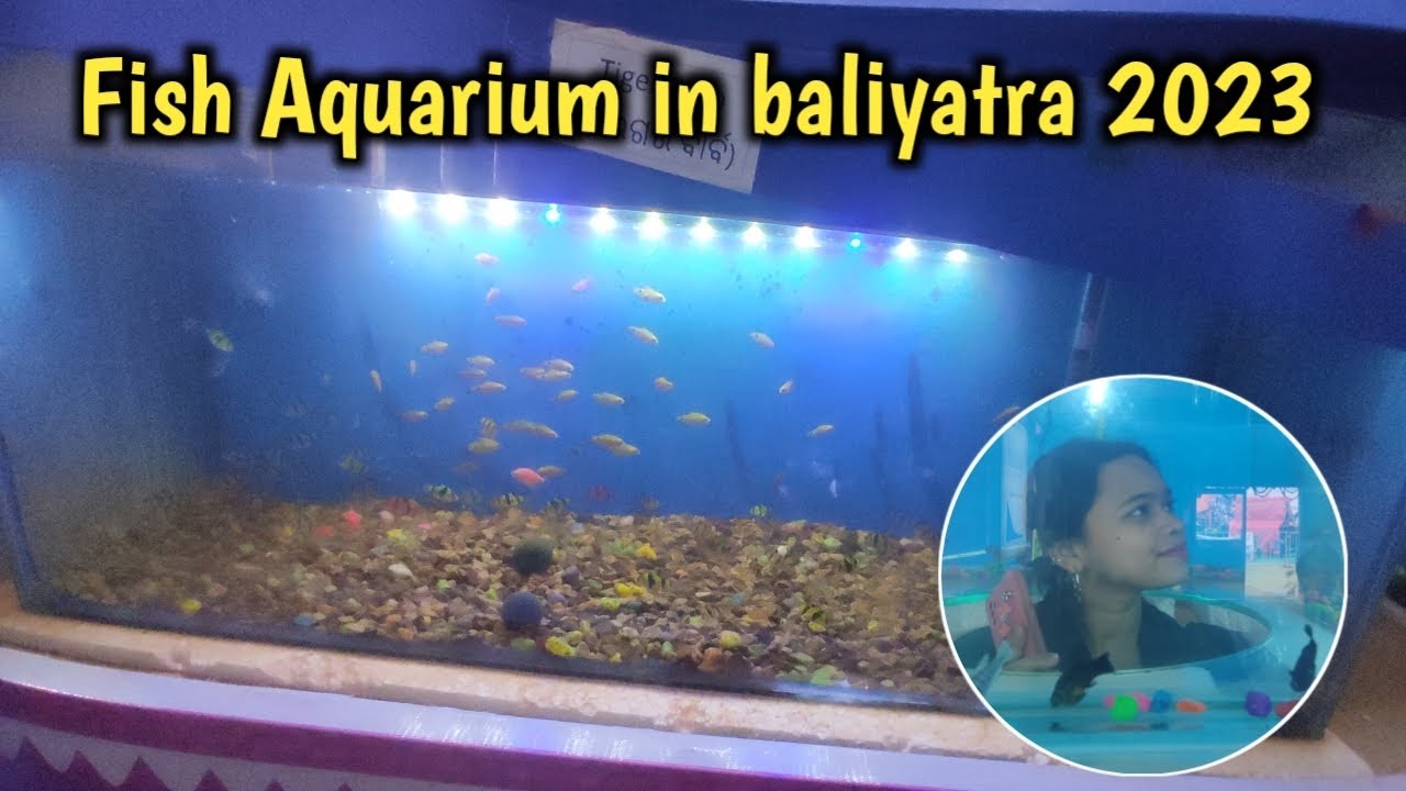 Fish aquarium in baliyatra 2023 cuttack balijatra 2023 cuttack 