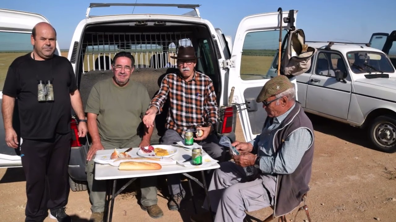 Fase previa Campeonato de galgos en Mora