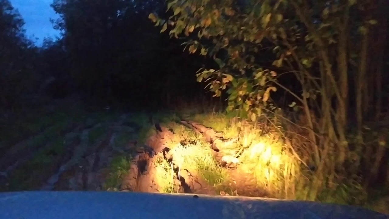 нива 2131 бездорожье , моя первая поездка в лес - YouTube