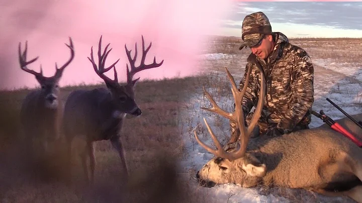 GIANT WHITETAIL & MULE DEER BUCK HUNTS in ALBERTA S6 Ep9