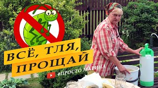 Обработка растений от тли.