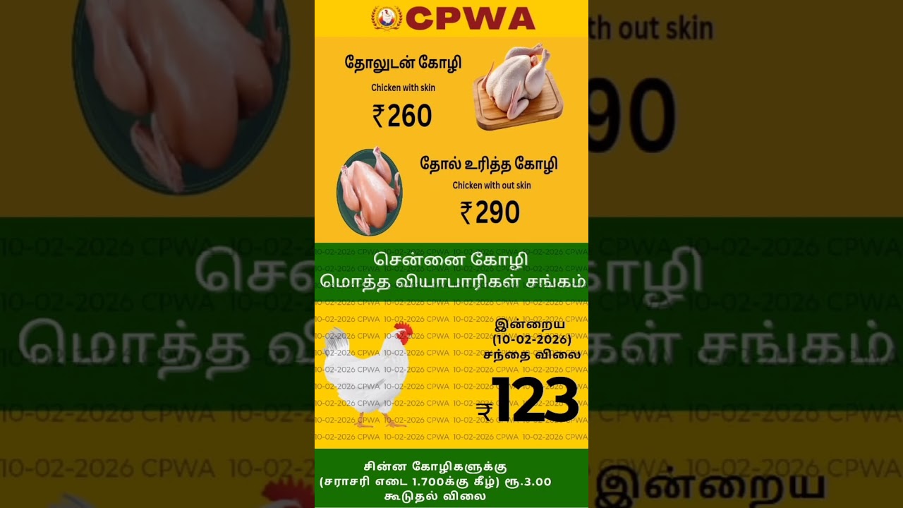 chennai  chicken rate | today chicken rate