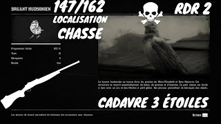 Tout Les Animaux: 147/162  Le Bruant Hudsonien (Localisation) Red Dead Redemption 2