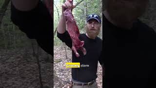 Porcupine Soup