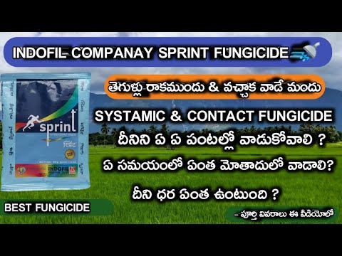 indofil sprint fungicide || అన్ని పంటల్లో ముందుగా వచ్చే తెగుళ్లను