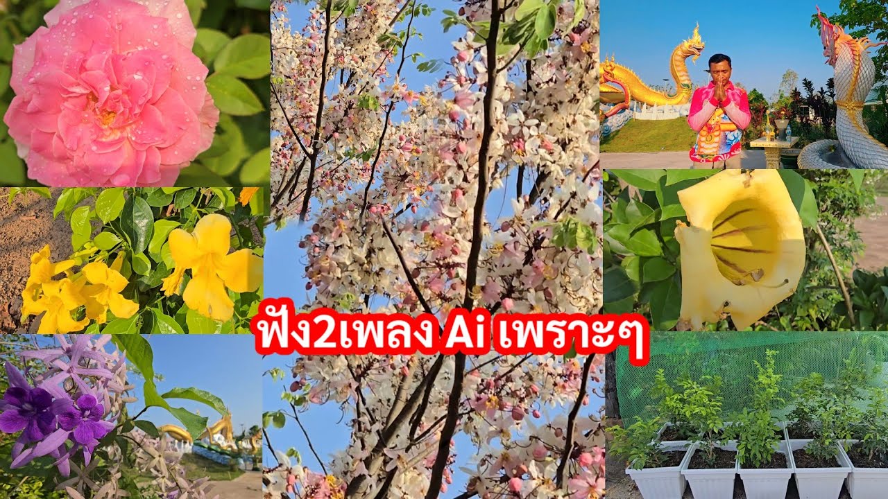 สุดเซอร์ไพรส์ น้ำมนต์จะไปหาพ่อ ฟังเพลงให้กำลังใจป้า..จากFcTp.ทั่วโลก