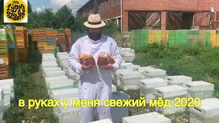 Хорошие новости. Партия мёда. Мед 2020 года от пчеловода