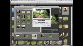 Nikon School - Elearning 1 : View NX2