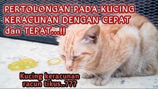 HOW TO TREAT CATS POISONED BY RAT POISON