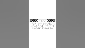 #القرآن_الكريم #الفرقان #الذكر #سورة_آل_عمران #عبدالرحمن_مسعد #قرآن #القران_الكريم #quran #قران_كريم