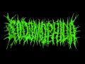 Capture de la vidéo Sodomophilia - Root Of Retaliation