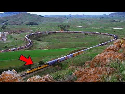 فيديو: الأنواع النادرة من القطار