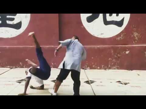 Shaolin 36 Duanda (36 Duan Da close combat Techniques) || Shifu Kanishka sharma